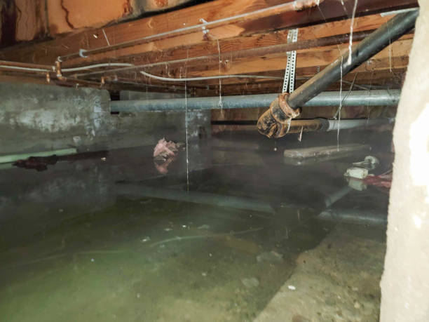 Reliable PA Water damage restoration Solutions