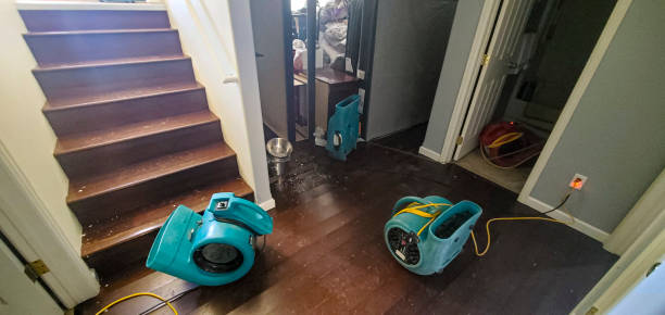 Best Water damage cleanup near me  in Jonestown, PA