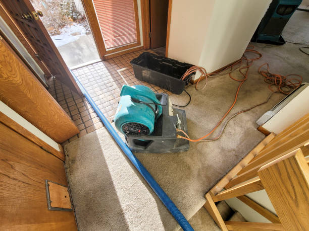 Best 24/7 water damage repair  in Jonestown, PA