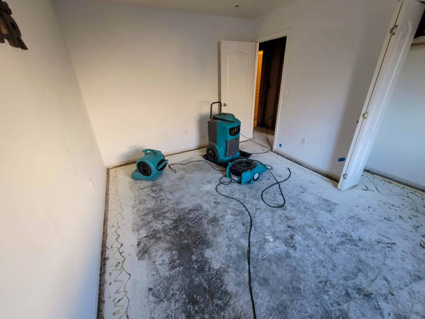 Best Flood damage cleanup  in Jonestown, PA