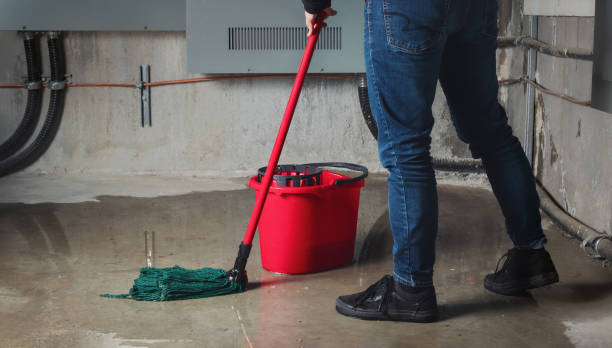 Best Residential water damage restoration  in Jonestown, PA