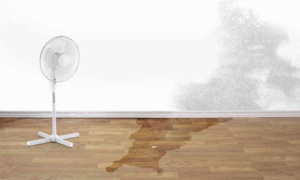Sewage cleanup and water damage restoration in PA