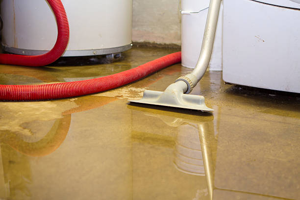 Best Water damage restoration company  in Jonestown, PA
