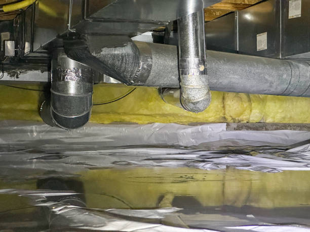 Best Professional water damage repair  in Jonestown, PA